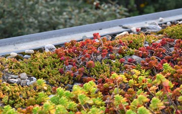 the cost of Brynmawr green roof installation