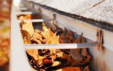 Brynmawr gutter cleaning companies
