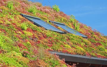 Brynmawr living roof systems