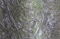 Brynmawr fibreglass roof work